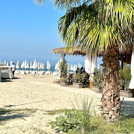 بيت ضيافة Shell 1 *